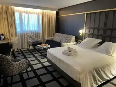 Mercure Orléans Centre - 117