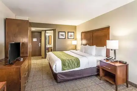 Comfort Inn & Suites Albuquerque Downtown - 60