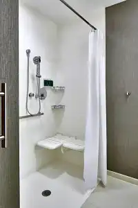 SpringHill Suites by Marriott Charlotte at Carowinds - 26
