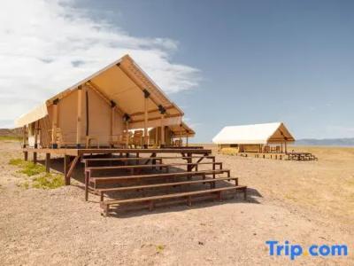 Charyn Canyon Camp - 45