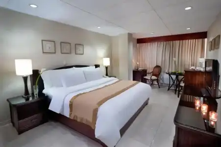 Centro Plaza Hodelpa - 64