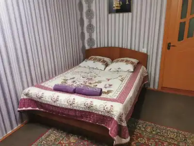 Petrovskaya Pristan 2 Guest House - 28
