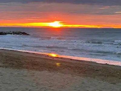 Palm Beach - 15