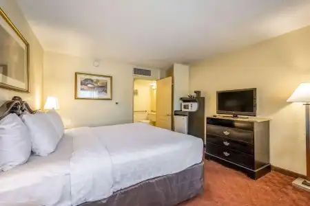 Clarion Inn & Suites Central Clearwater Beach - 4