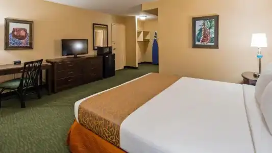 Airport Honolulu, Trademark Collection by Wyndham - 54