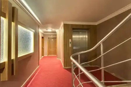 Antroyal - 10