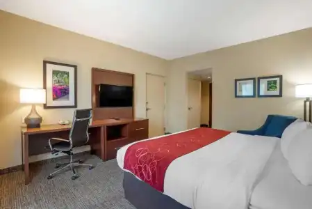Comfort Suites Fredericksburg North - 57