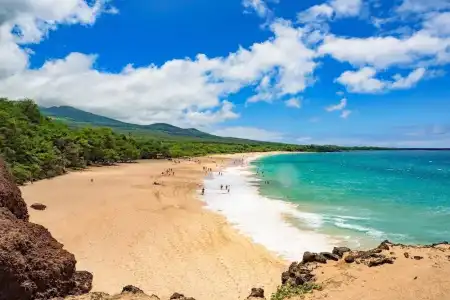 Palms At Wailea by Vacation Rental Pros - 15