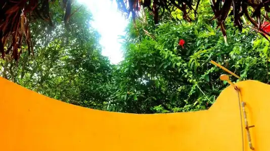 Freedomland Phu Quoc - 10