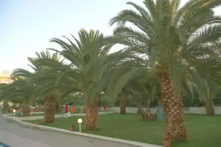 Theoni Apartments - 6