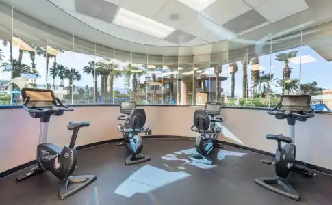 Marriott's Desert Springs Villas I - 20