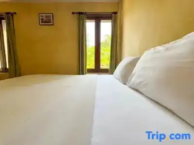 Baanbali Beach Resort - 83