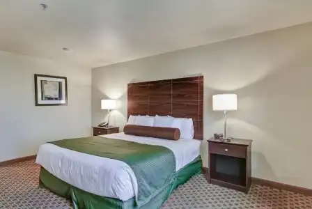 Cobblestone & Suites – Pulaski/Green Bay - 27