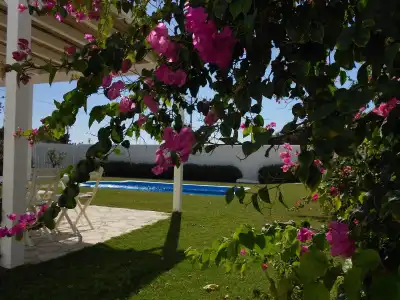 Zaena Alaçatı - 16