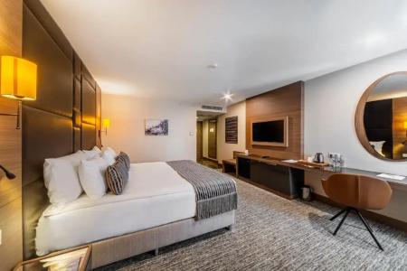 Tryp by Wyndham Istanbul Sisli - 50