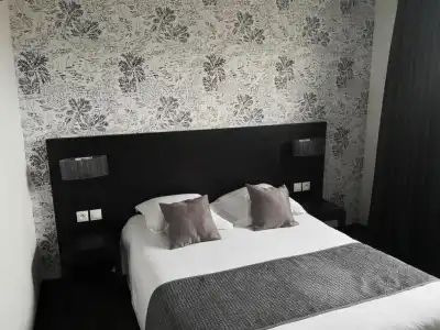 Hôtel Red Fox - 41