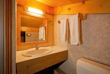 Hôtel Les Flocons - 86