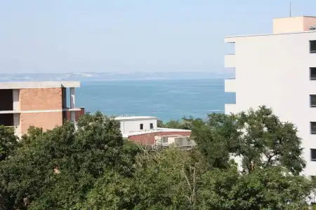 Perunika - 0