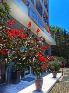 Corfu Hellinis - 21