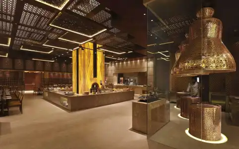 Hilton Jaipur - 28
