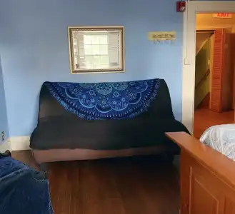 Blue Moon Guest House and Saloon - 1