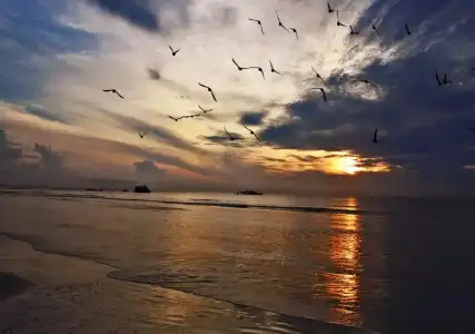 De Rhu Beach Resort - 15