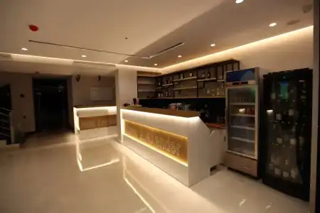 Alexander - 11