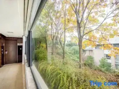 Banshan - 17