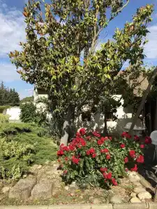 Hôtel Cristol - 12