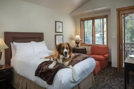 The Telluride - 46