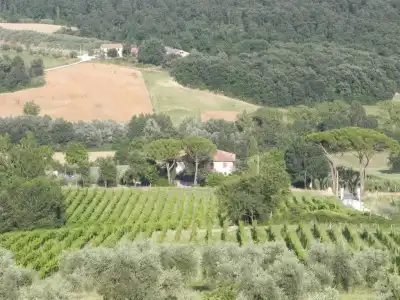 Tenuta Pizzogallo - 66