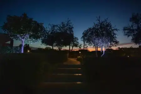 Is Molas Resort - 97