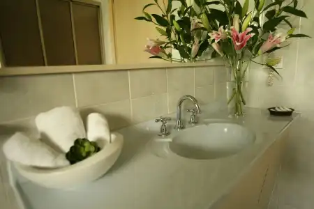 Quality Inn Presidential - 9