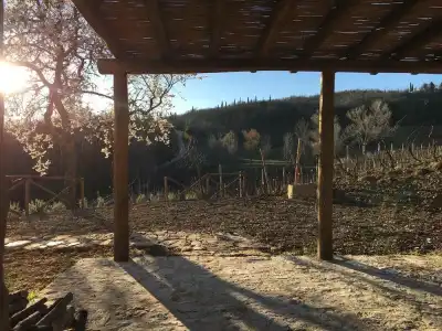 Podere Terreno alla Via della Volpaia - 37