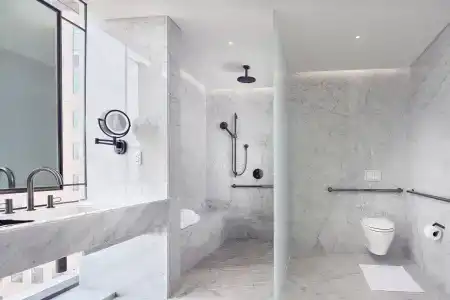 The Ritz-Carlton, - 45