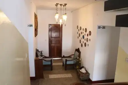 Shangani - 12