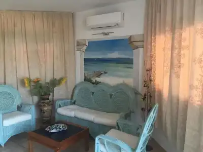 Palau City - 5