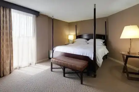 Sheraton Orlando North - 135