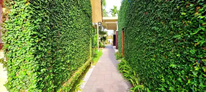 The Blossom Resort Island Da Nang - 351
