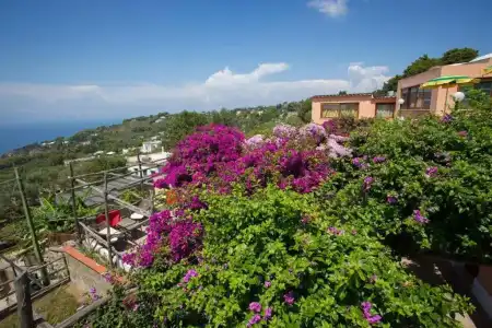 Il Girasole - 63