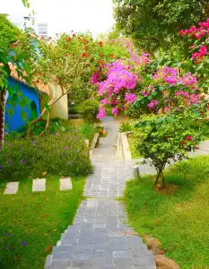 Daisy Resort - 49