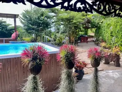 Klong Muang Seaview - 42