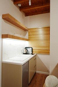 Arial Penthouse Suites - 323
