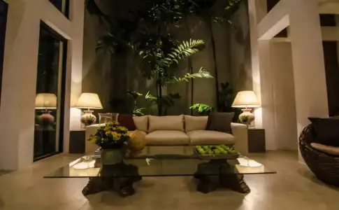 The Mangrove - 5