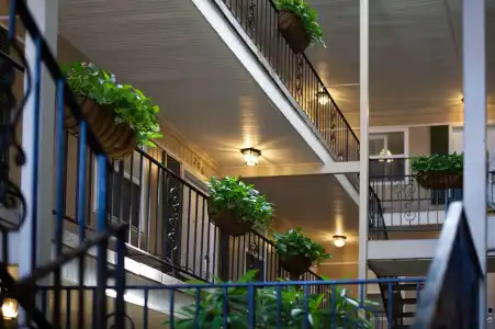 Frenchmen Orleans at 519, Ascend Collection - 14