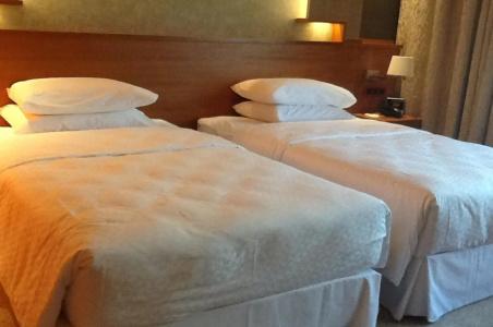 Four Points by Sheraton Kecskemet & Conference Center - 3