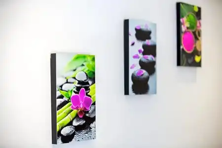 Colorize Boutique - 53