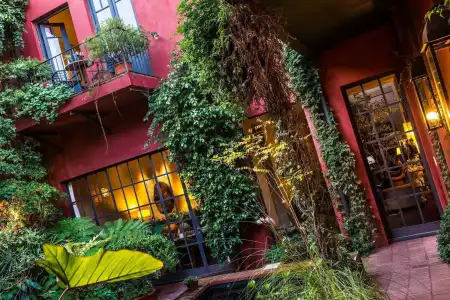 Be Jardin Escondido by Coppola - 22