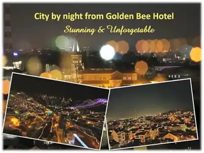 Golden Bee - 72