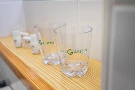 Das Gastein - including Alpentherme entrance all year and including "Gasteiner Bergbahnen" during summer season - 38